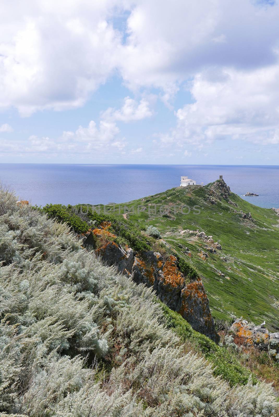 Holidays in southern Corsica.
Discovery of the Sanguinaires Islands, next to the city of Ajaccio