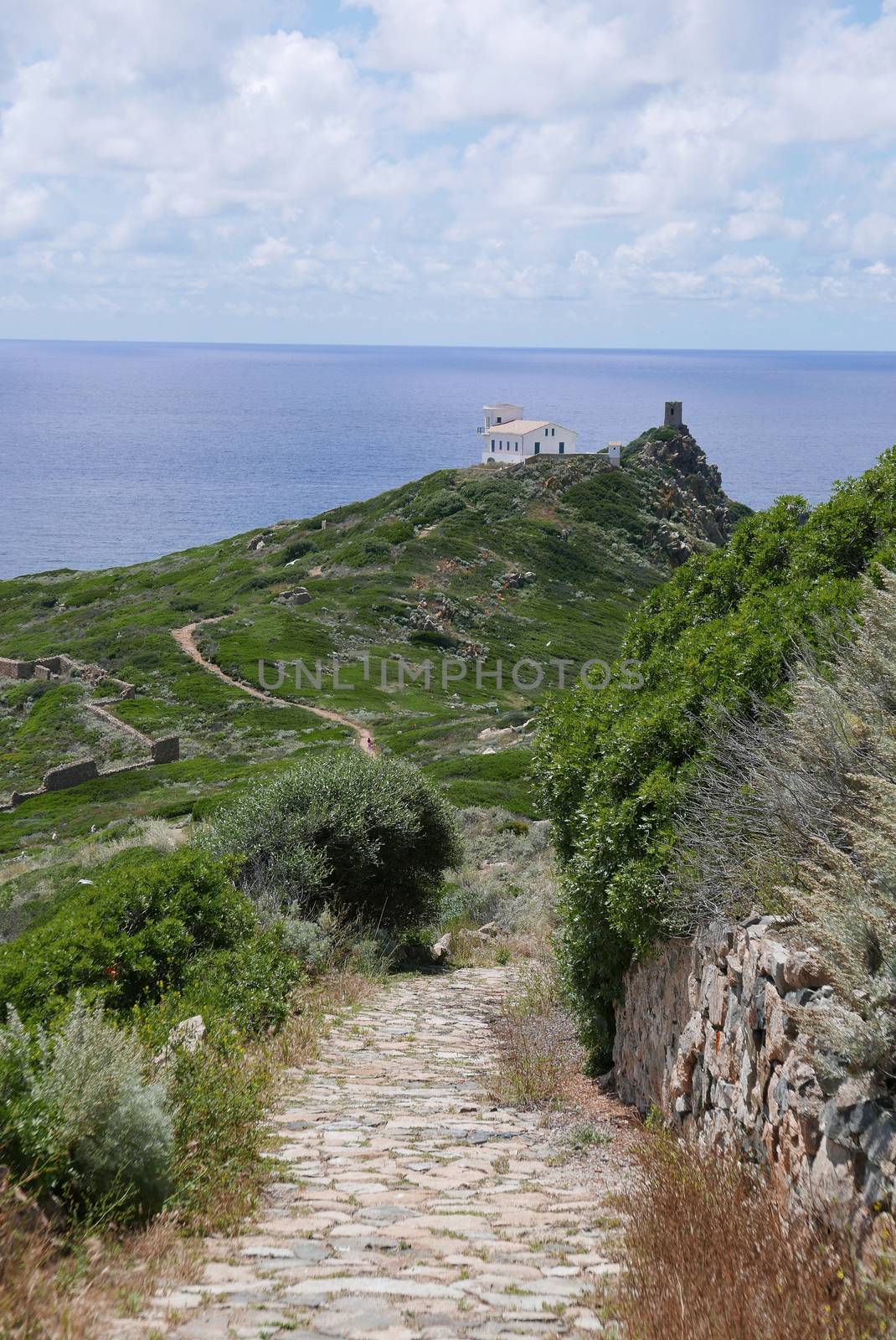 Holidays in southern Corsica.
Discovery of the Sanguinaires Islands, next to the city of Ajaccio
