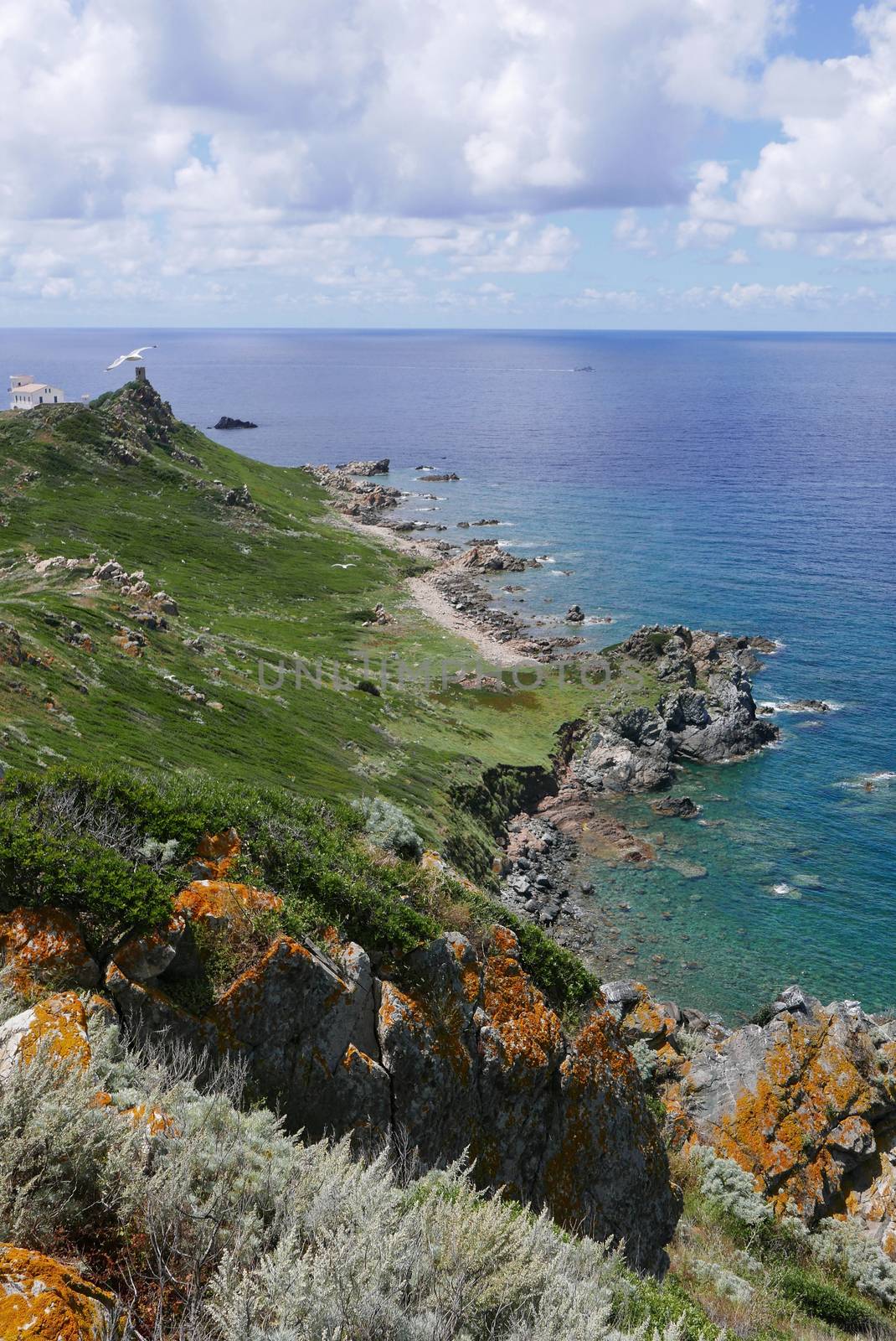 Holidays in southern Corsica.
Discovery of the Sanguinaires Islands, next to the city of Ajaccio