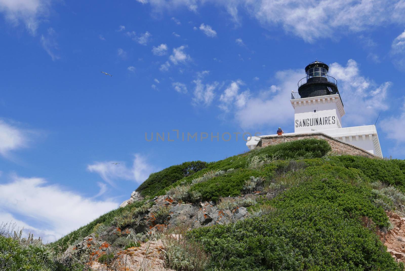 Holidays in southern Corsica.
Discovery of the Sanguinaires Islands, next to the city of Ajaccio