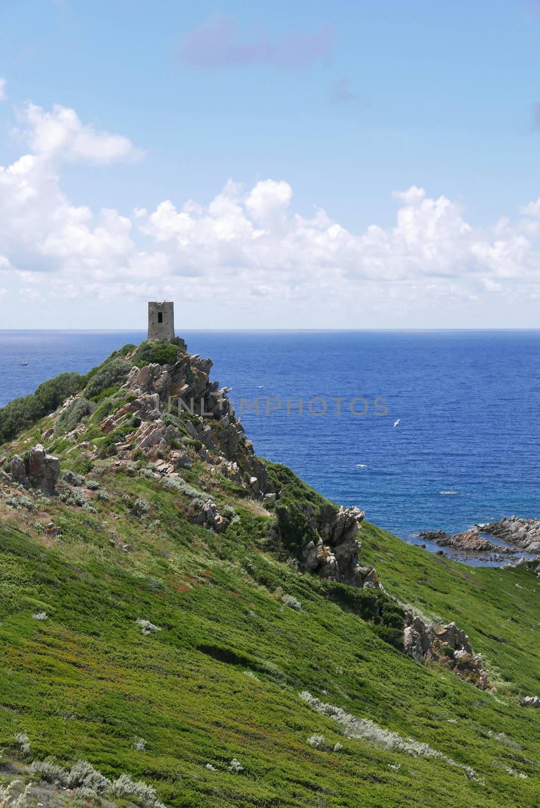 Holidays in southern Corsica.
Discovery of the Sanguinaires Islands, next to the city of Ajaccio