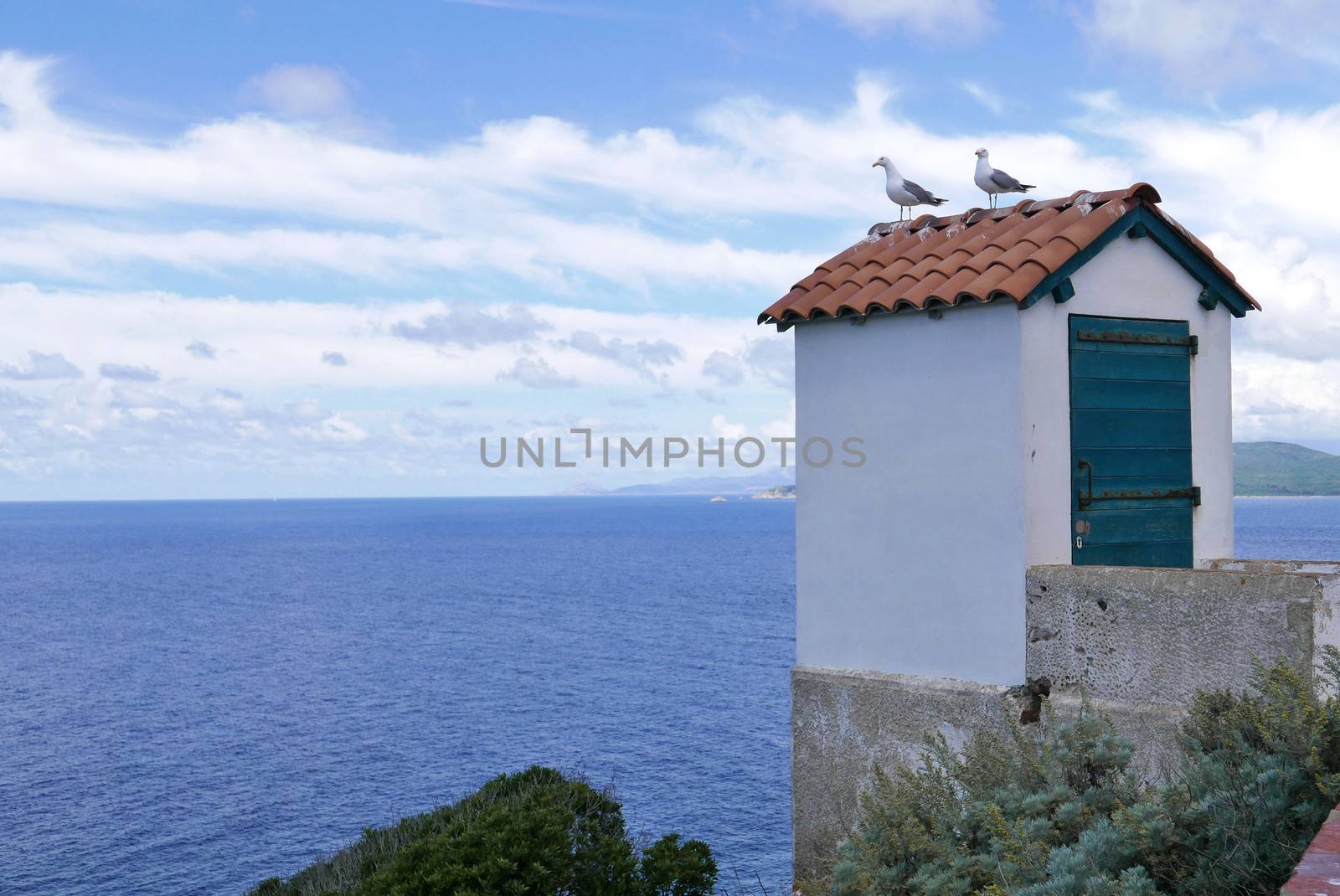 Holidays in southern Corsica.
Discovery of the Sanguinaires Islands, next to the city of Ajaccio