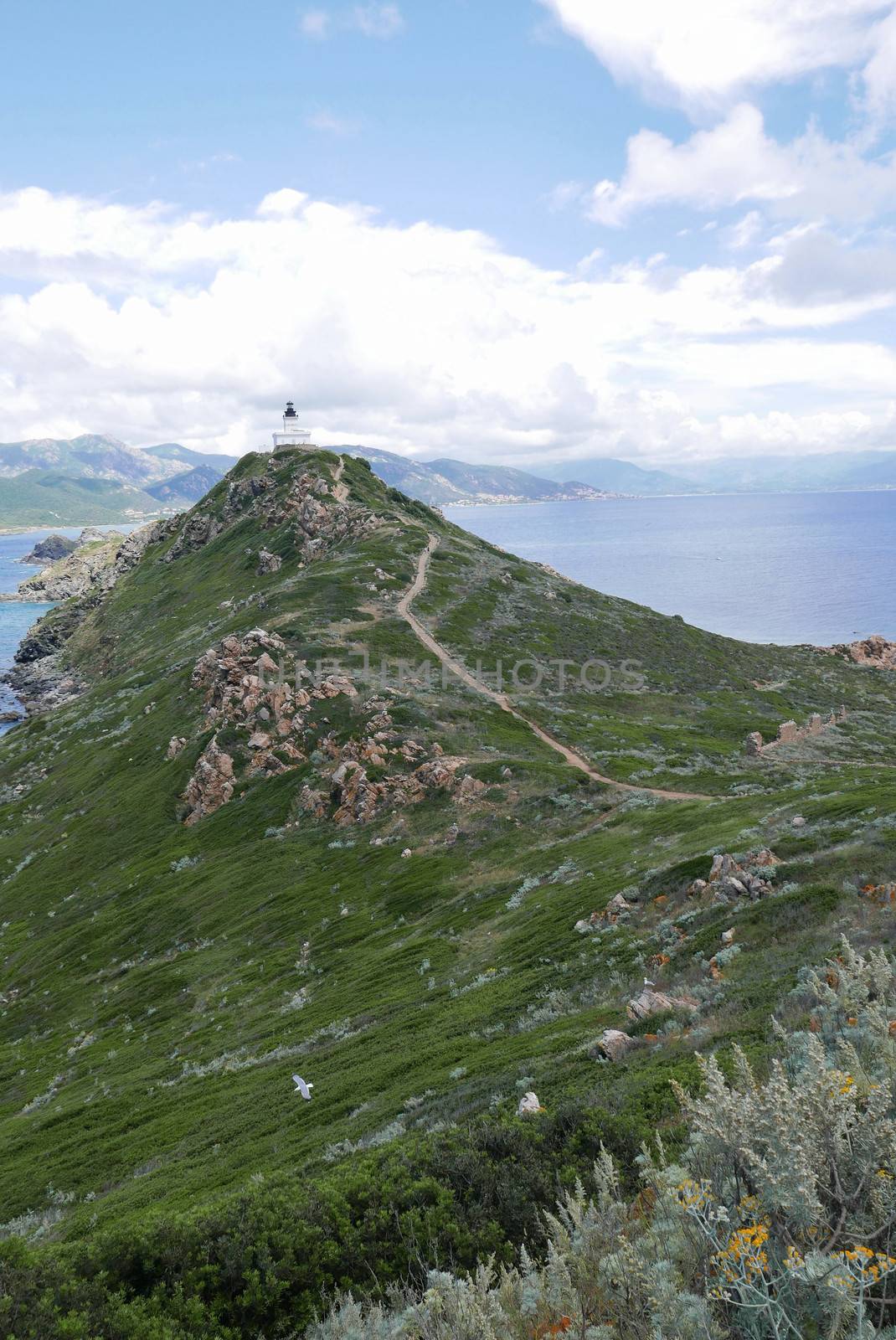 Holidays in southern Corsica.
Discovery of the Sanguinaires Islands, next to the city of Ajaccio