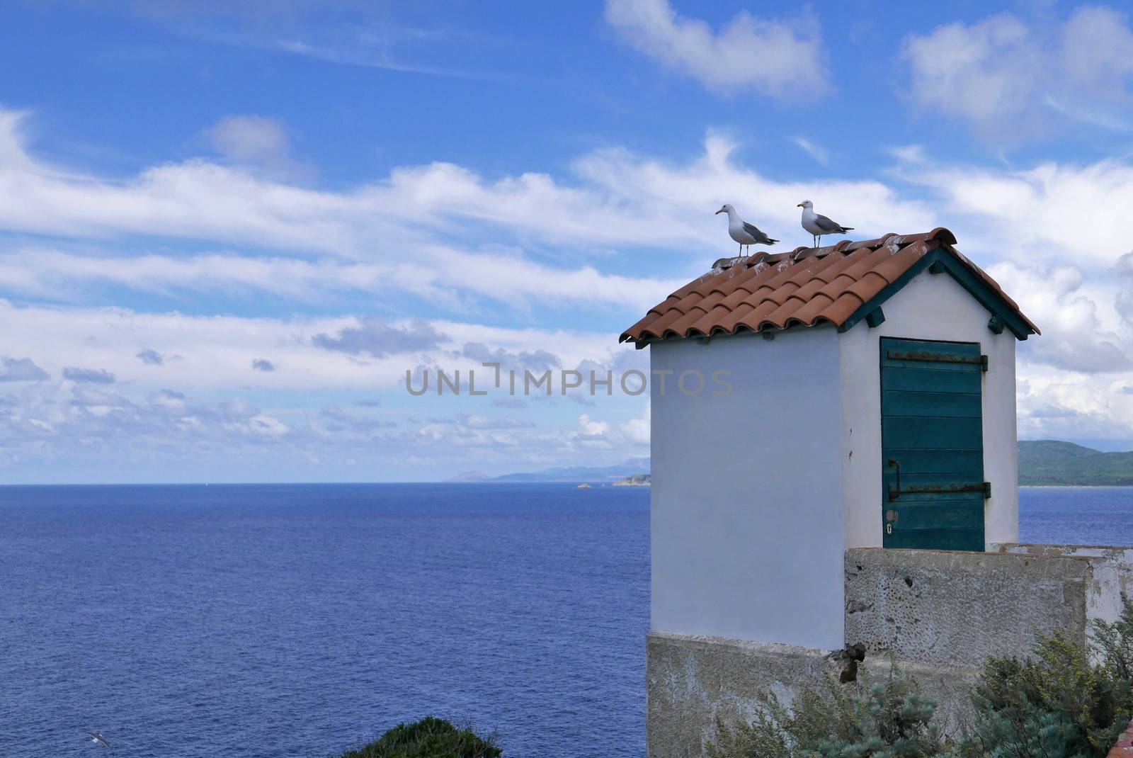 Holidays in southern Corsica.
Discovery of the Sanguinaires Islands, next to the city of Ajaccio