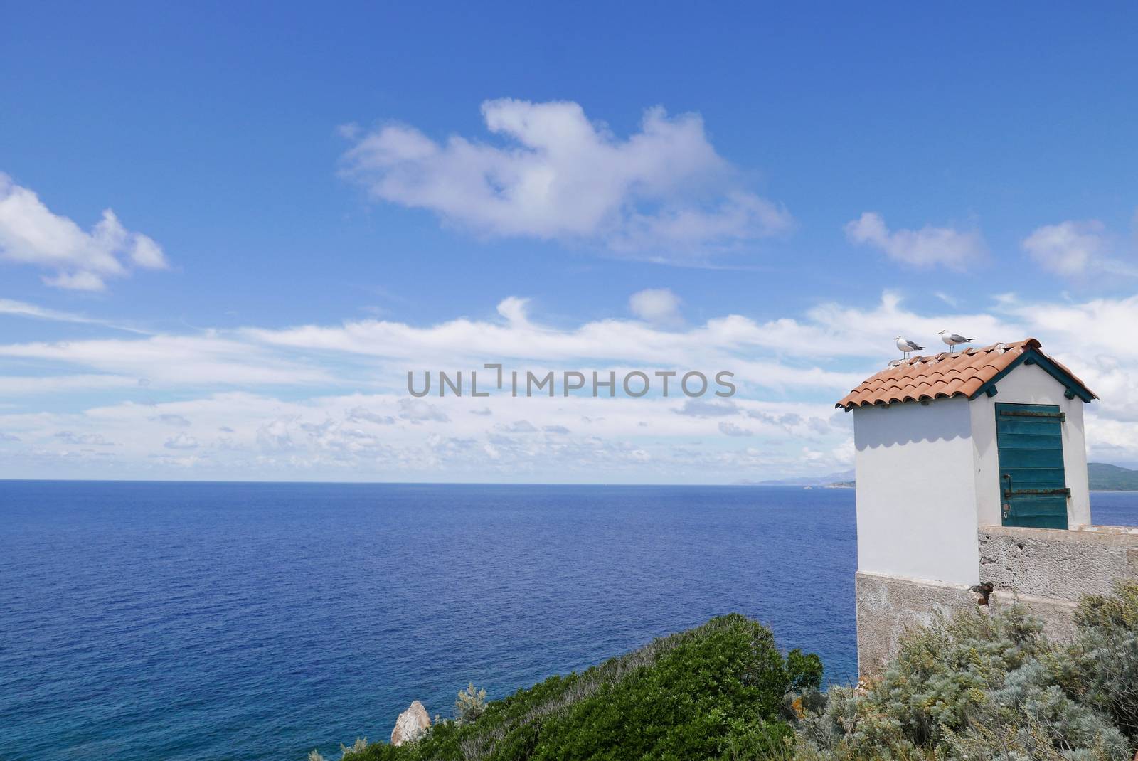 Holidays in southern Corsica.
Discovery of the Sanguinaires Islands, next to the city of Ajaccio