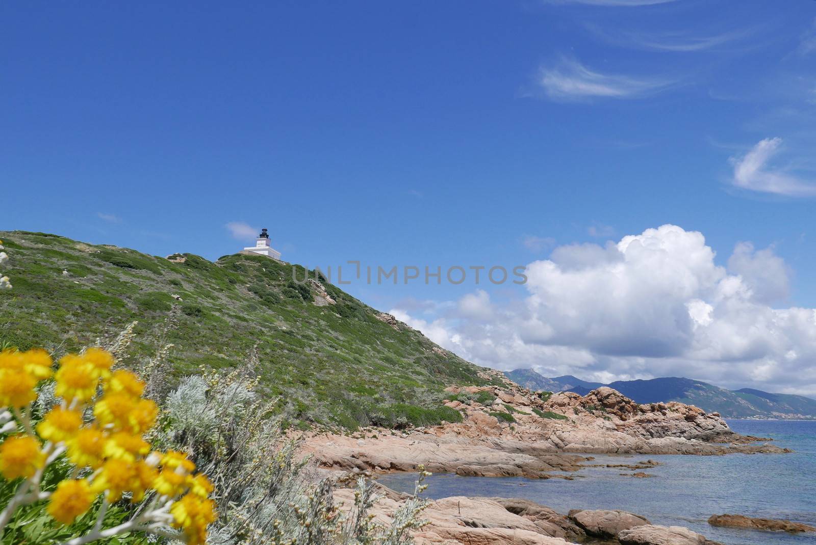 Holidays in southern Corsica.
Discovery of the Sanguinaires Islands, next to the city of Ajaccio