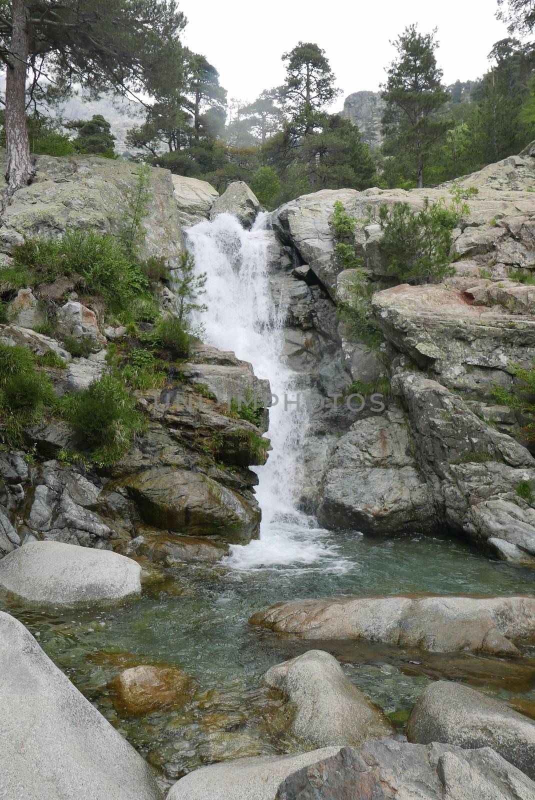 Holidays in southern Corsica.
Discover the mountain landscapes of this beautiful region of France