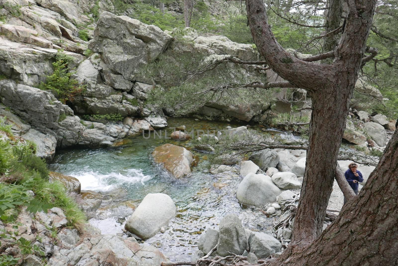Holidays in southern Corsica.
Discover the mountain landscapes of this beautiful region of France