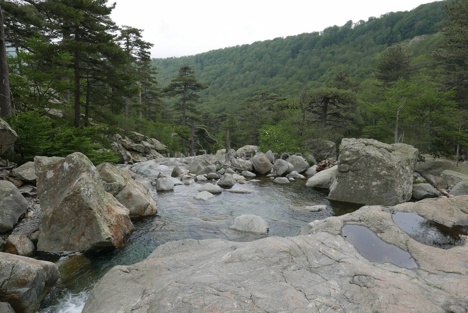 Holidays in southern Corsica.
Discover the mountain landscapes of this beautiful region of France