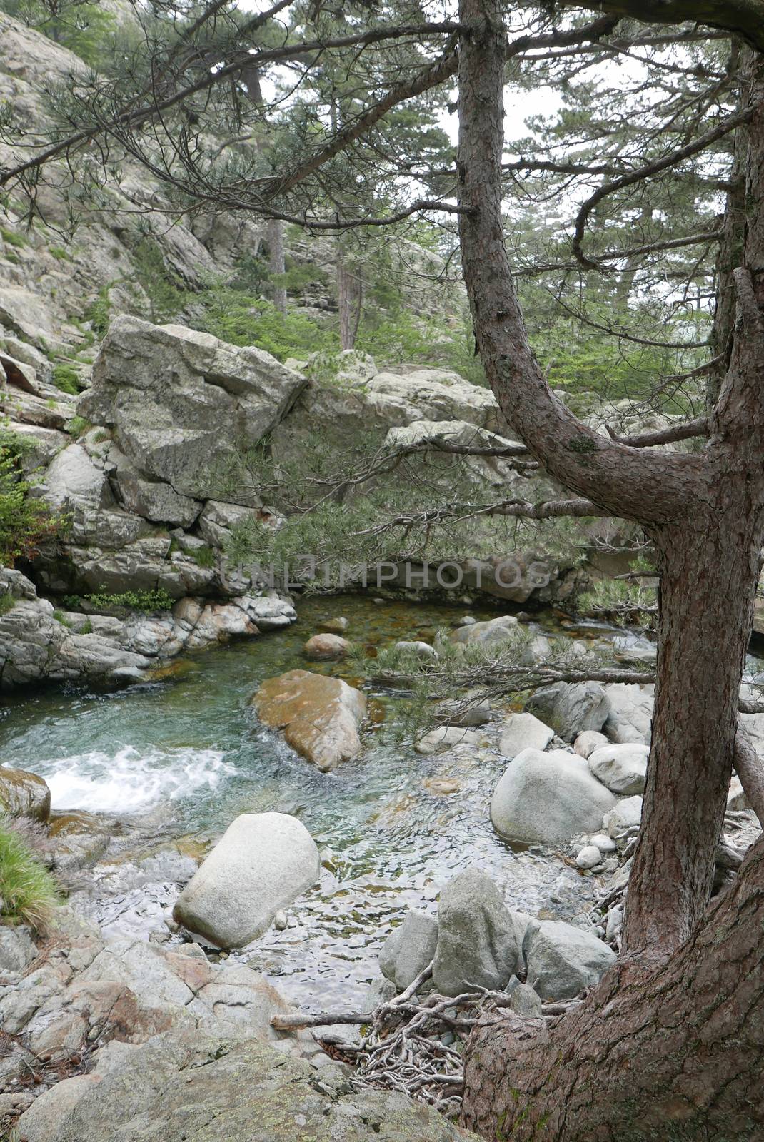 Holidays in southern Corsica.
Discover the mountain landscapes of this beautiful region of France