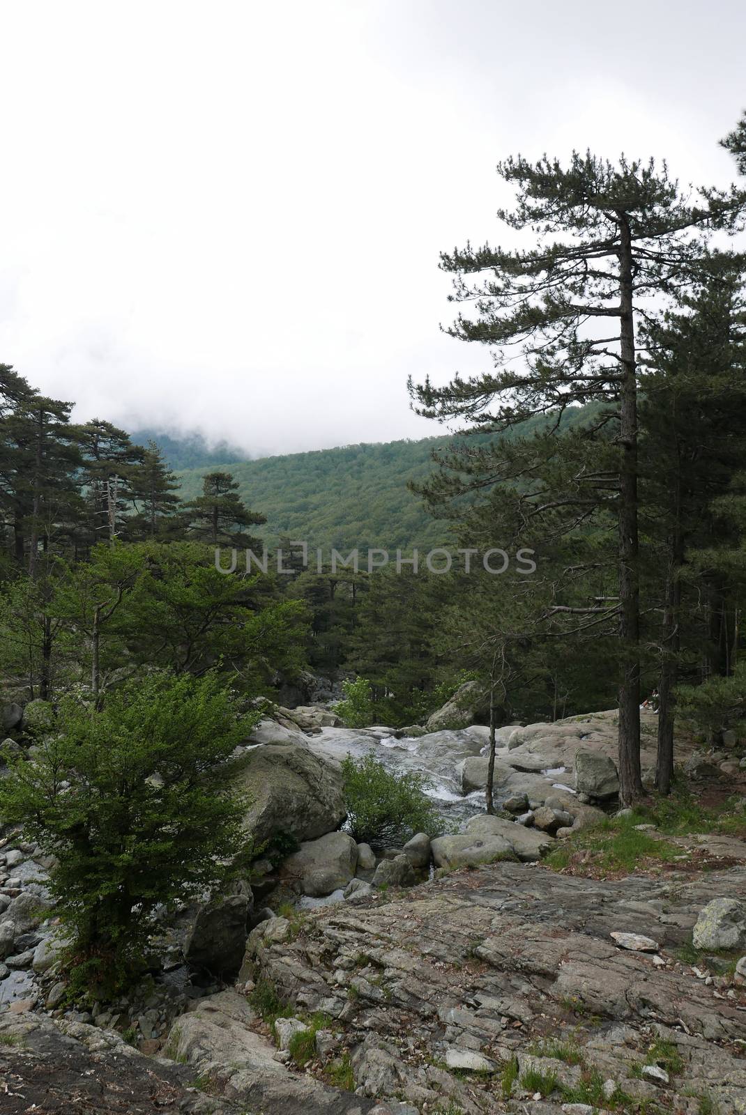 Holidays in southern Corsica.
Discover the mountain landscapes of this beautiful region of France