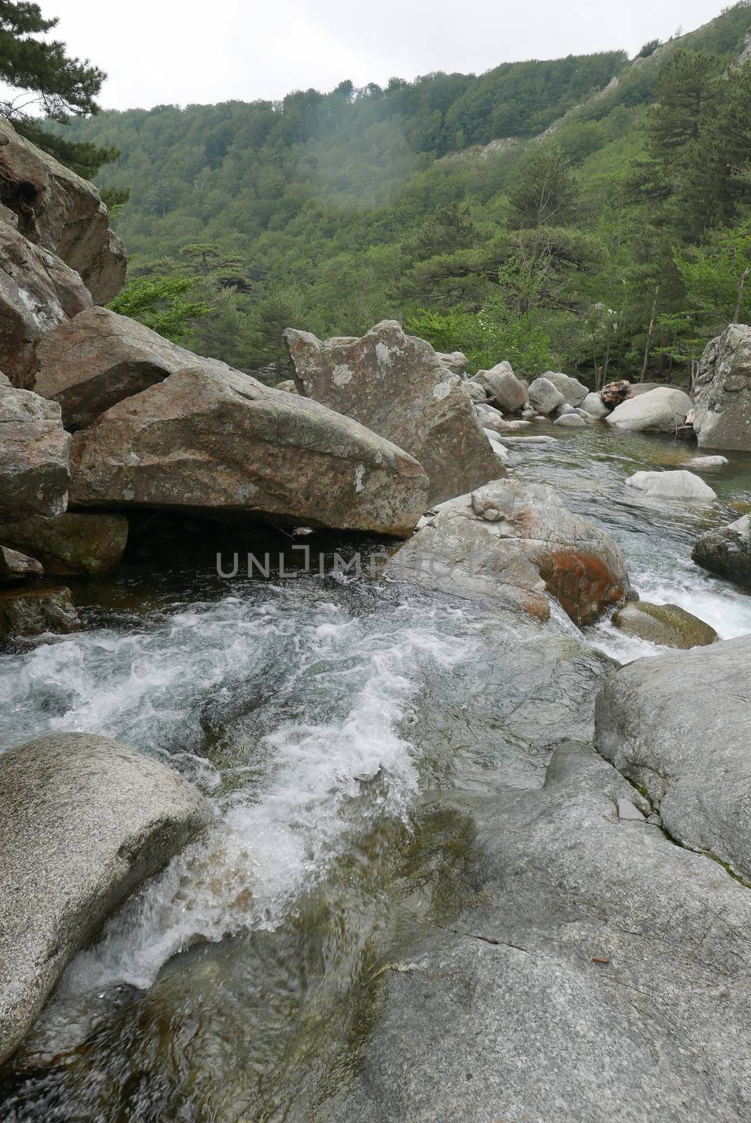 Holidays in southern Corsica.
Discover the mountain landscapes of this beautiful region of France