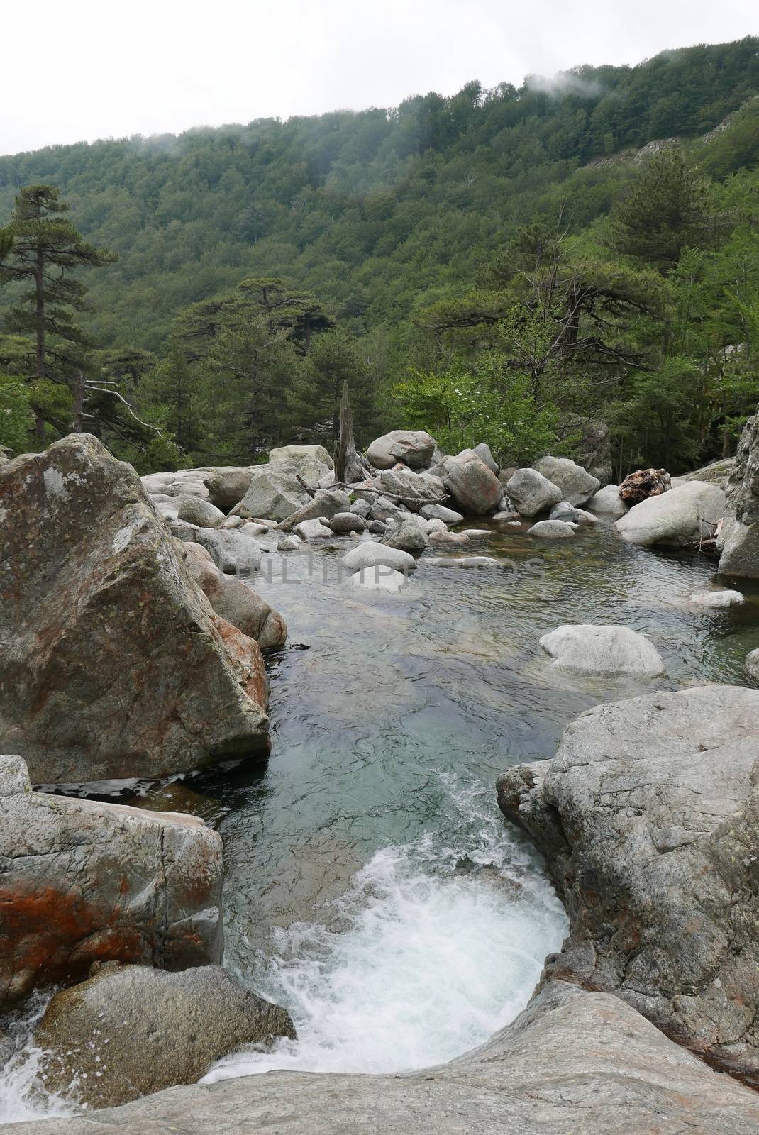 Holidays in southern Corsica.
Discover the mountain landscapes of this beautiful region of France