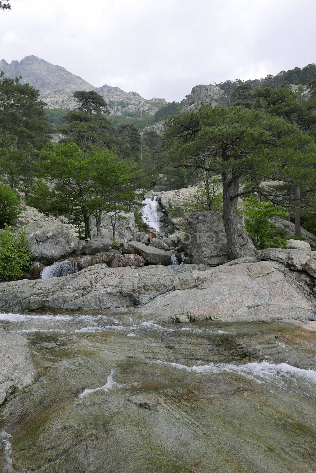 Holidays in southern Corsica.
Discover the mountain landscapes of this beautiful region of France