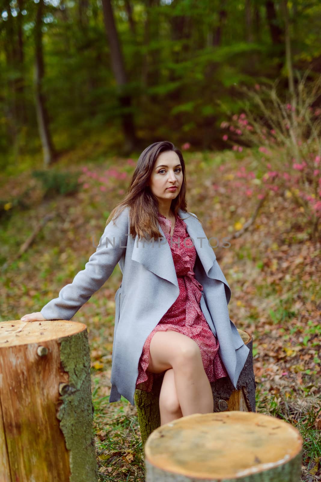 Woman standing next to a tree in park in golden autumn.