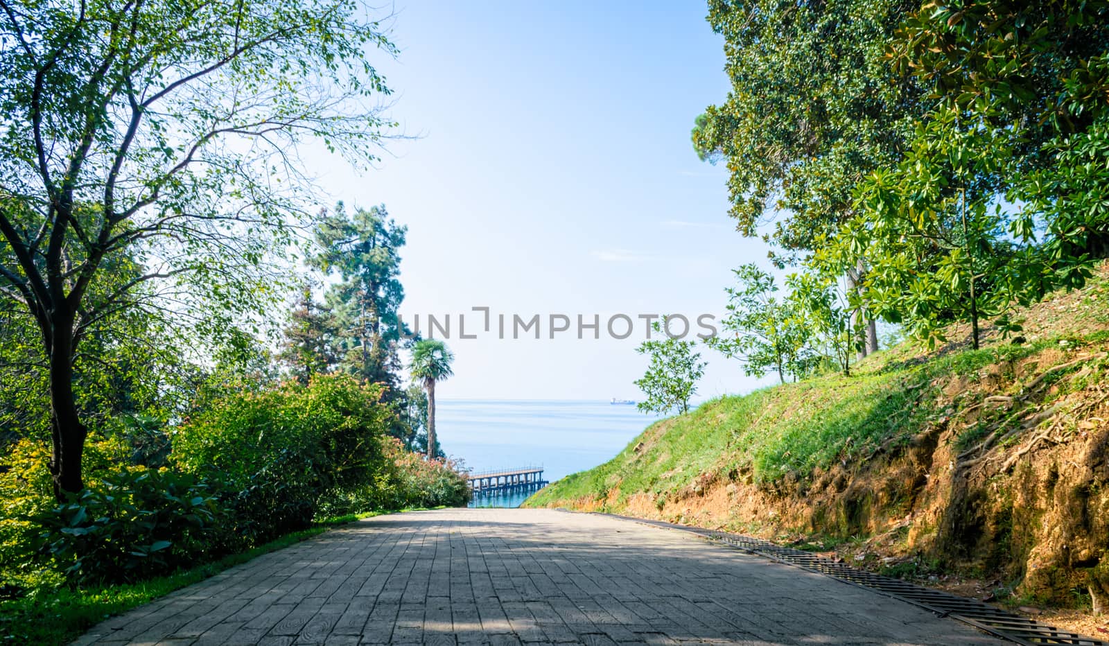 descent road in a park overlooking the sea in Georgia by Gera8th
