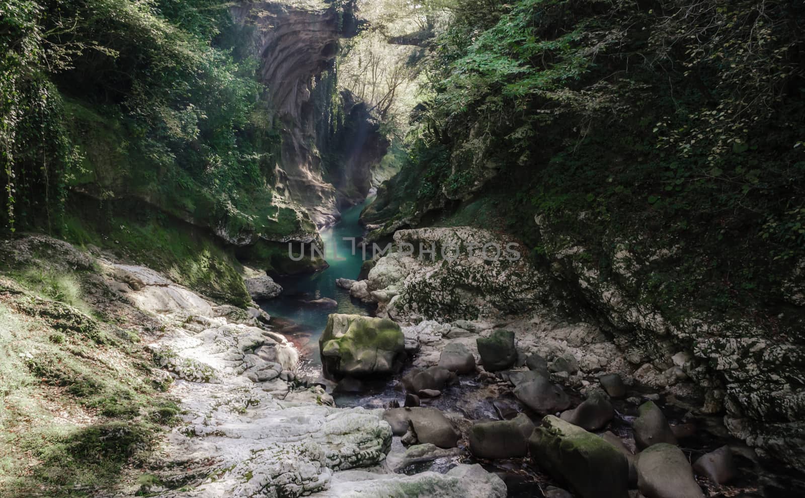 mountain river among stone rocks with green plants in the Martvili Canyon in Georgia in autumn