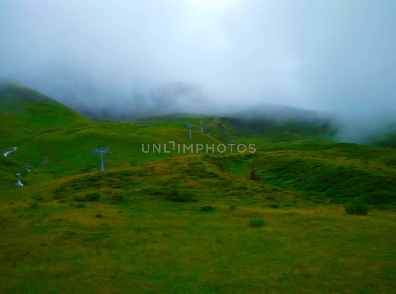 view of a green meadow during winter