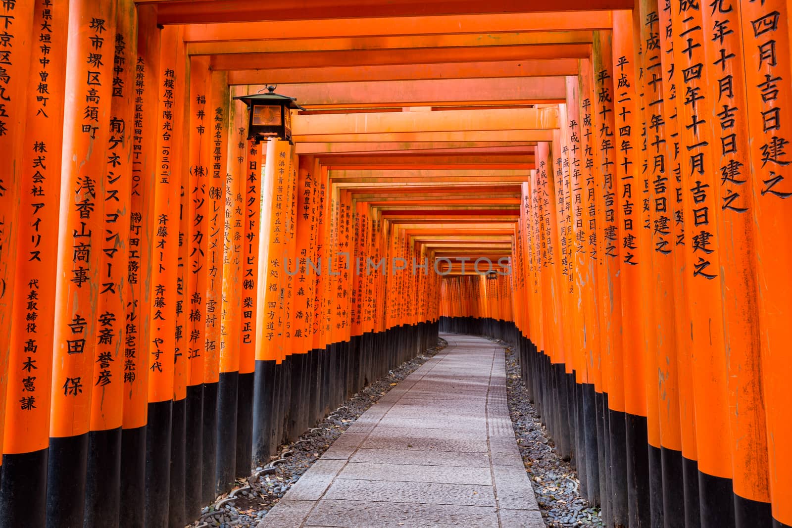 Torii path at Fushimi Inari Taisha Shrine in Kyoto, Japan by zhu_zhu