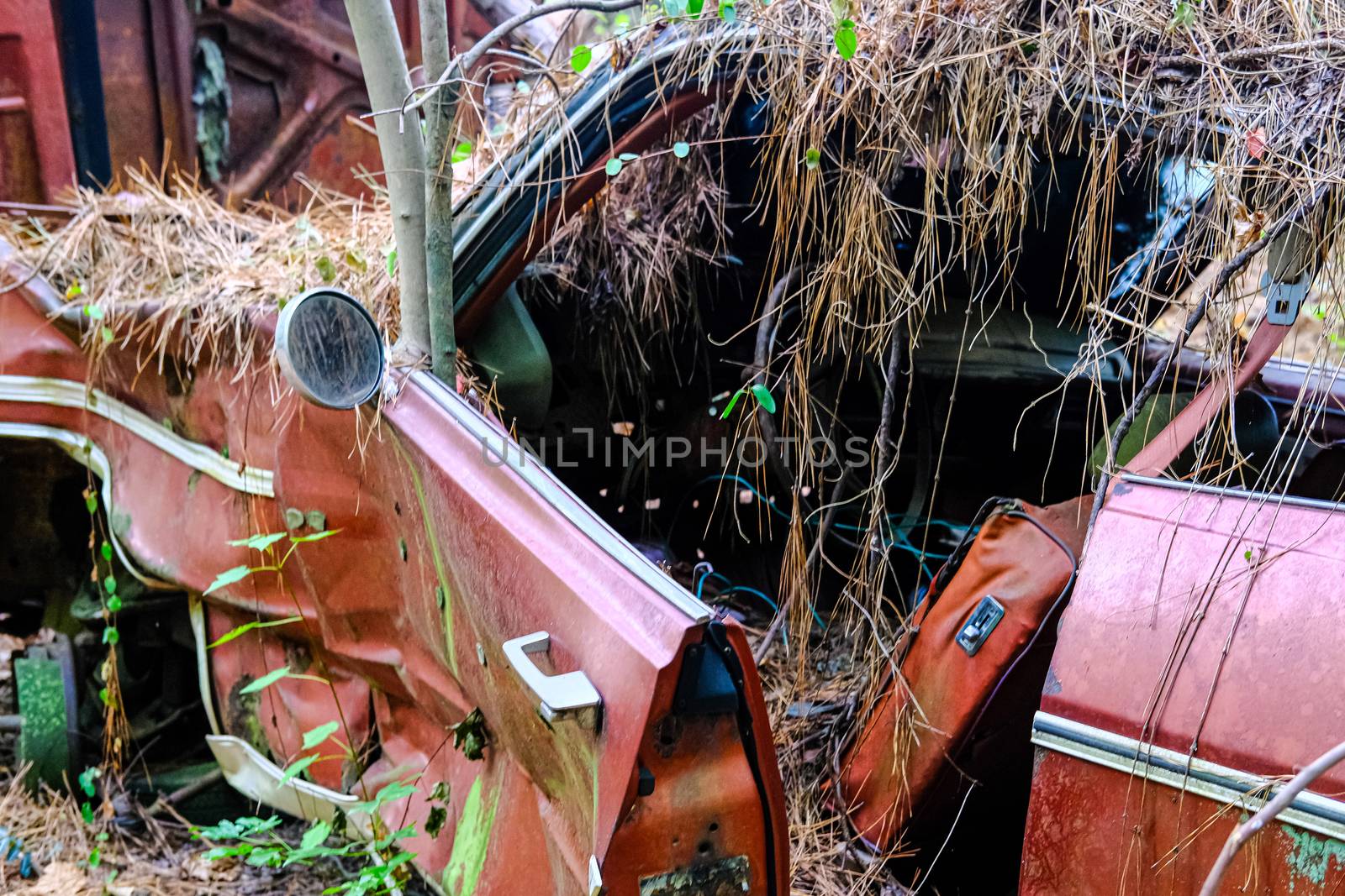 Crushed Red Car by dbvirago