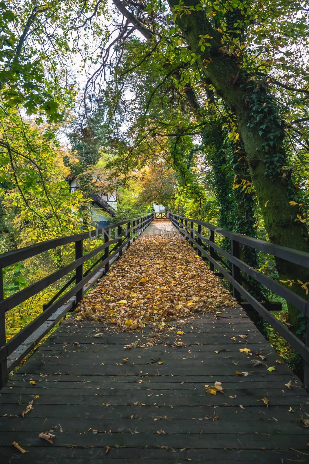 Historic wooden bridge in a park surrounded by autumn colors in a foggy morning
