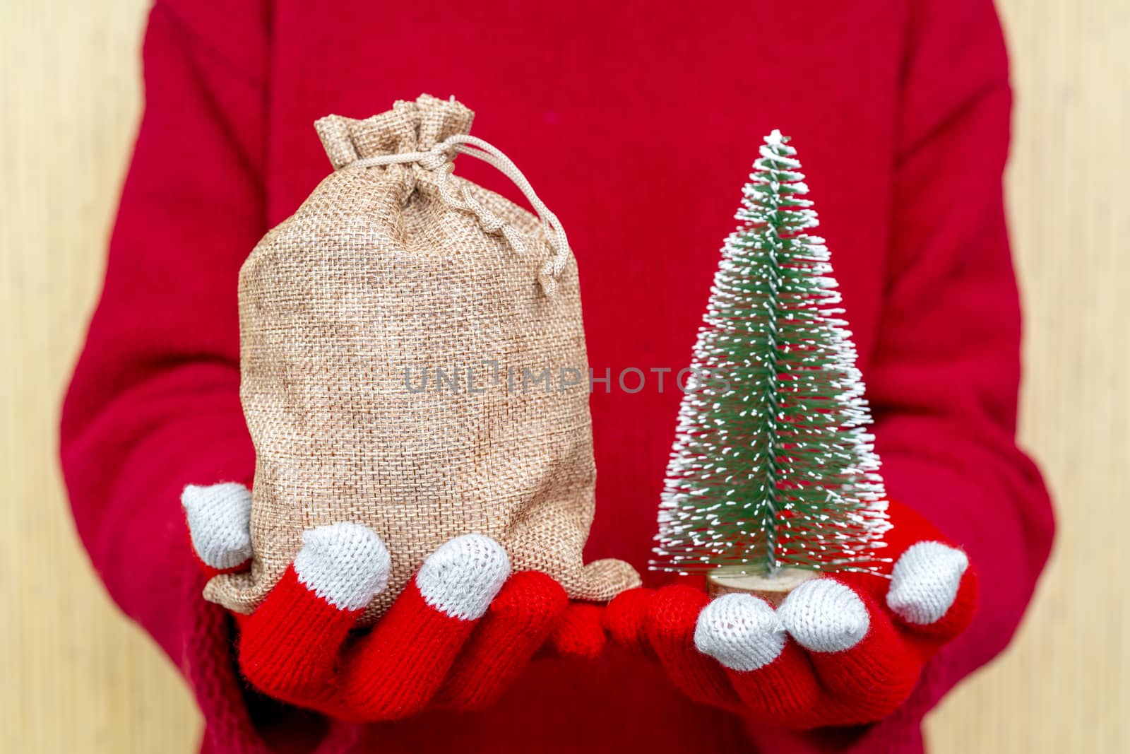 Christmas gifts bag in female hands. Red knitted gloves and a sweater.