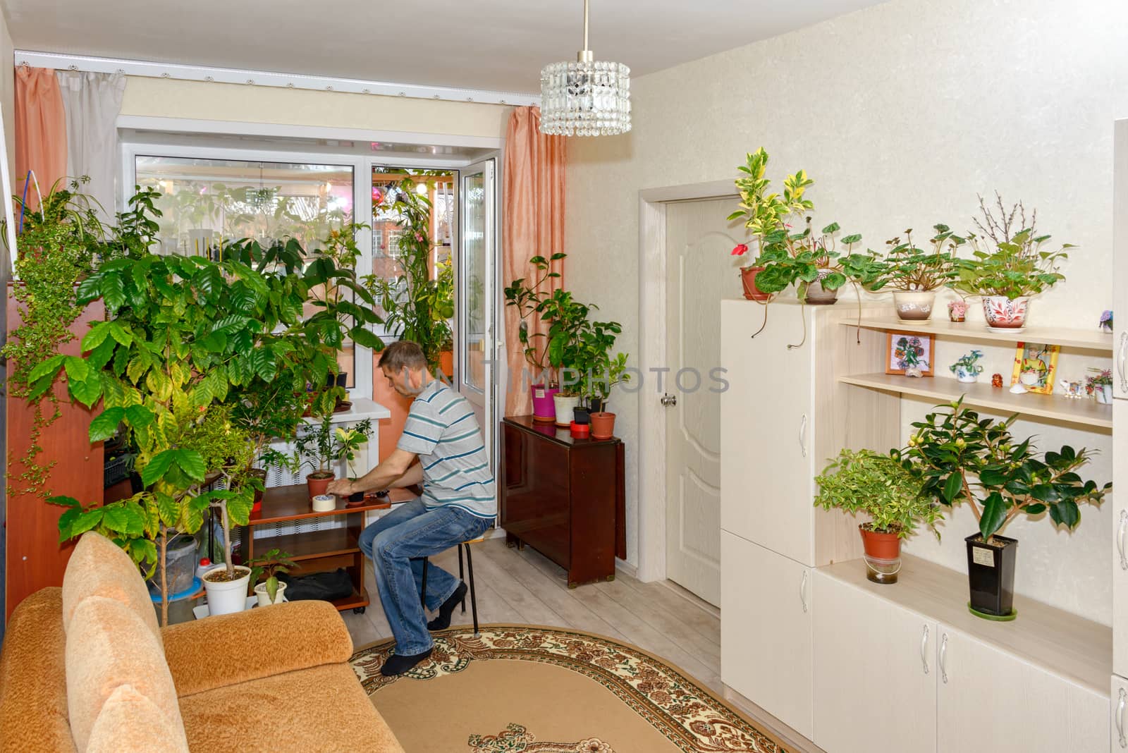 An elderly man in a bright room with home plants is engaged in his favorite hobby.