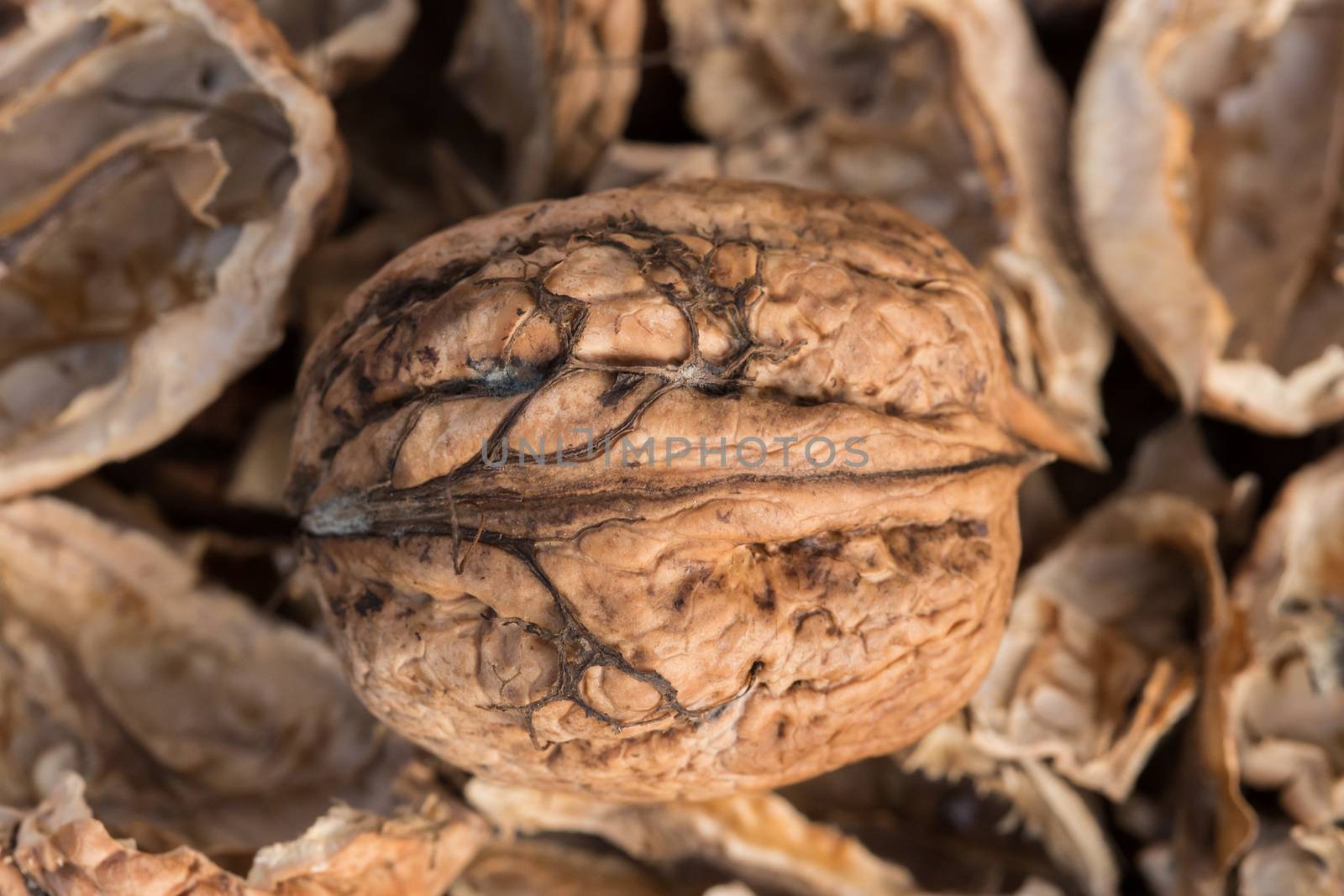 One complete walnut with cracked walnut shells. Pieces of nutshells. Close up. by petrsvoboda91