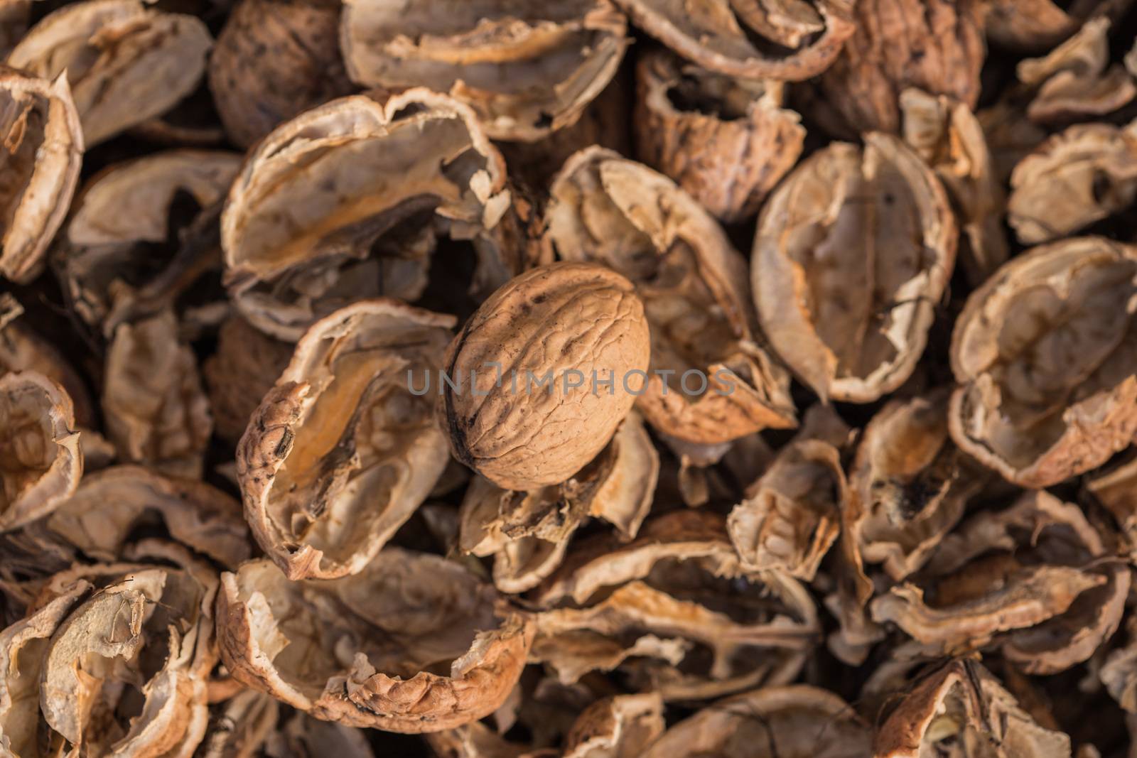 Cracked walnut shells with one complete walnut in the middle. Pieces of nutshells. Nutshell texture. by petrsvoboda91