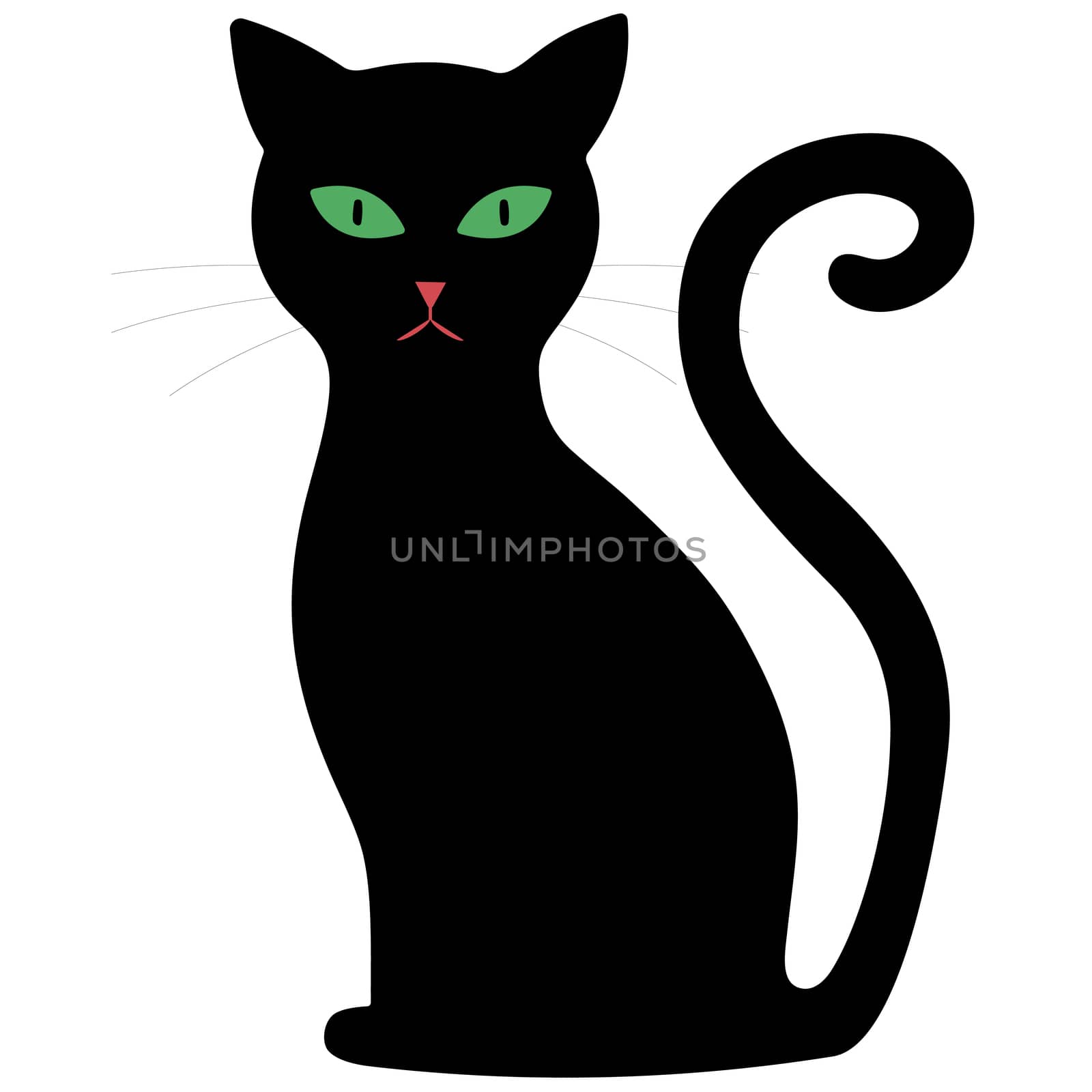 Black cat with green eyes on a white background