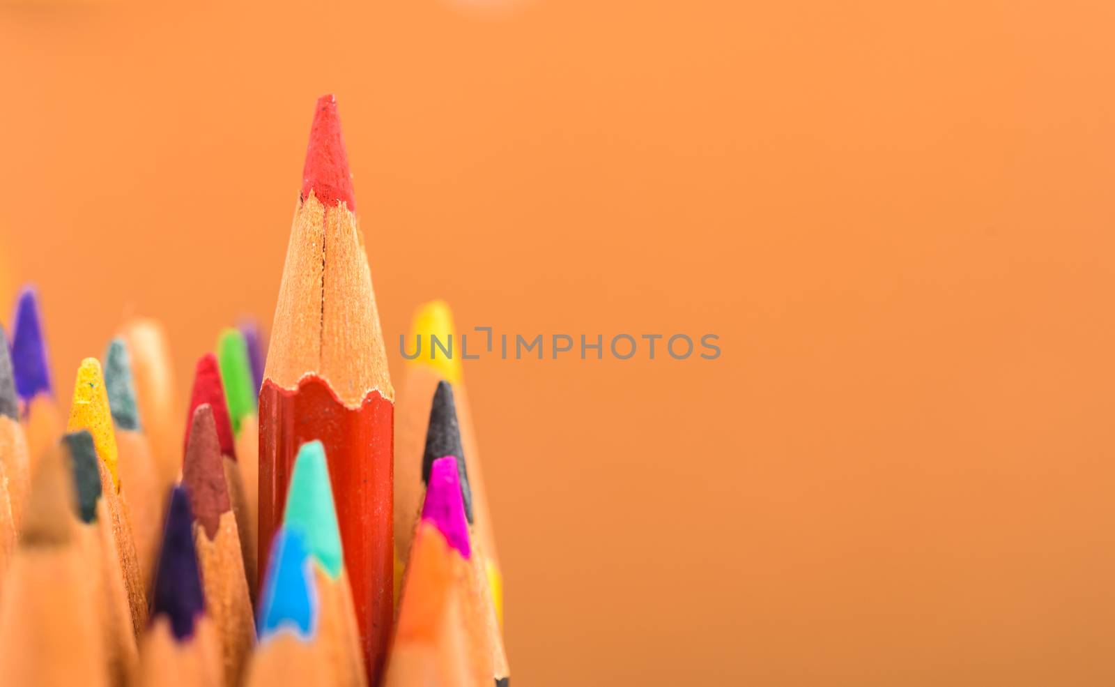 Back to school, Red pencil standing out from crowd by Sorapop