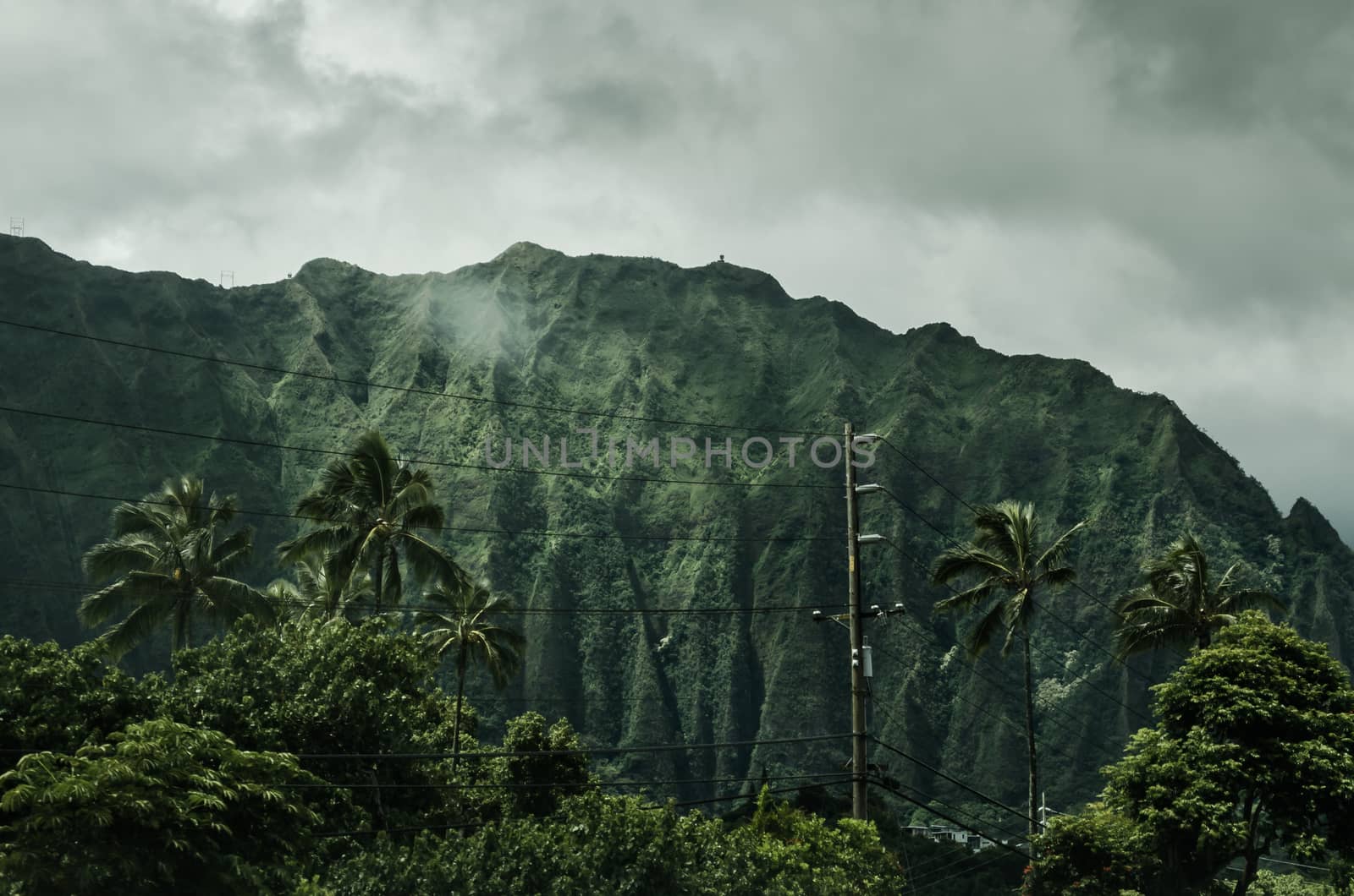 Hawaii mountains covered in  deep dark green forest