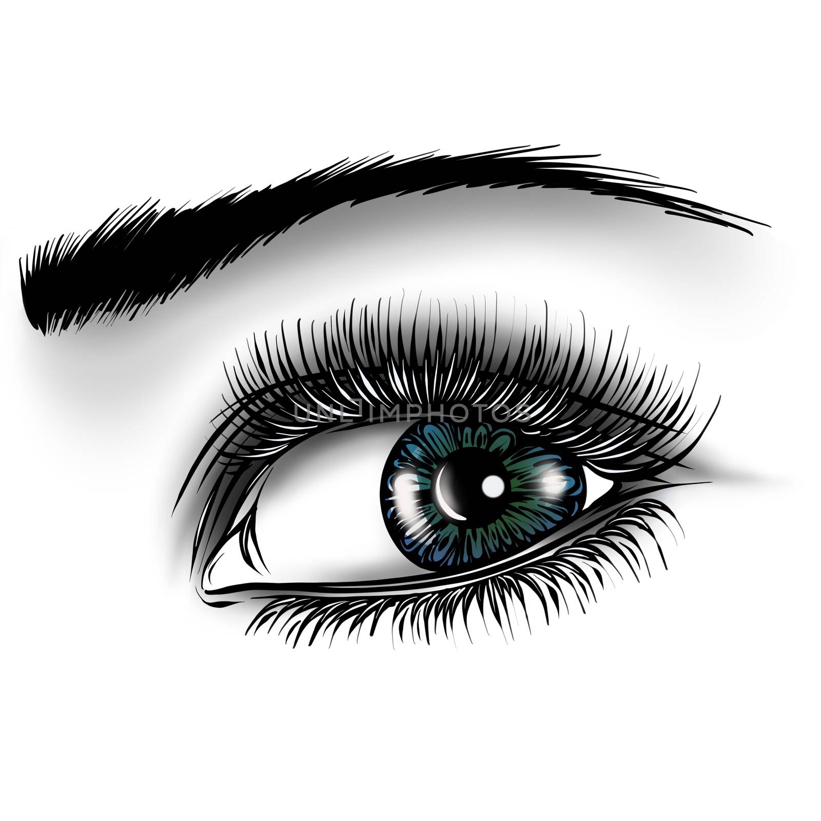 illustration Beautiful Women Eyes with make up by dean