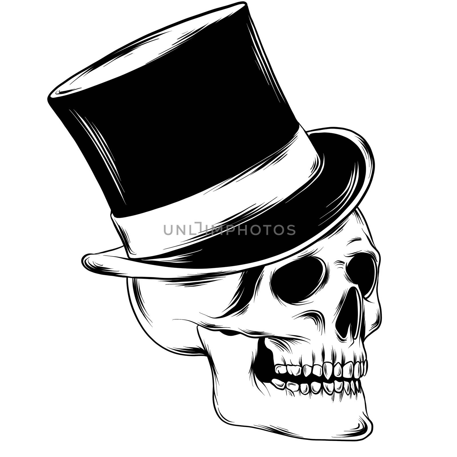 black and white illustration of human skull with a lower jaw in ink hand drawn style. by dean