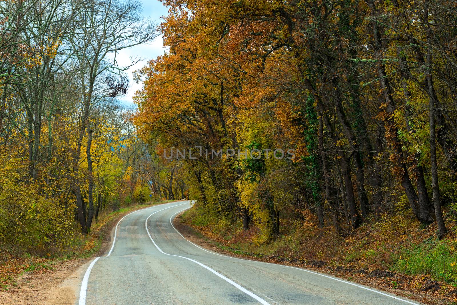 Car winding road in the mountains on an autumn afternoon