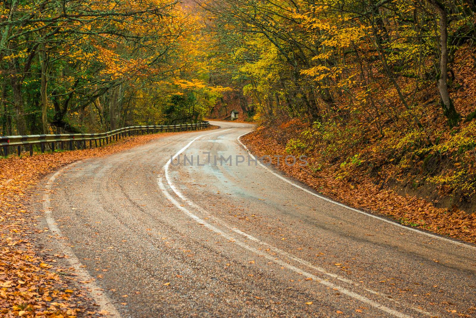 autumn photography turns empty highway in the mountains