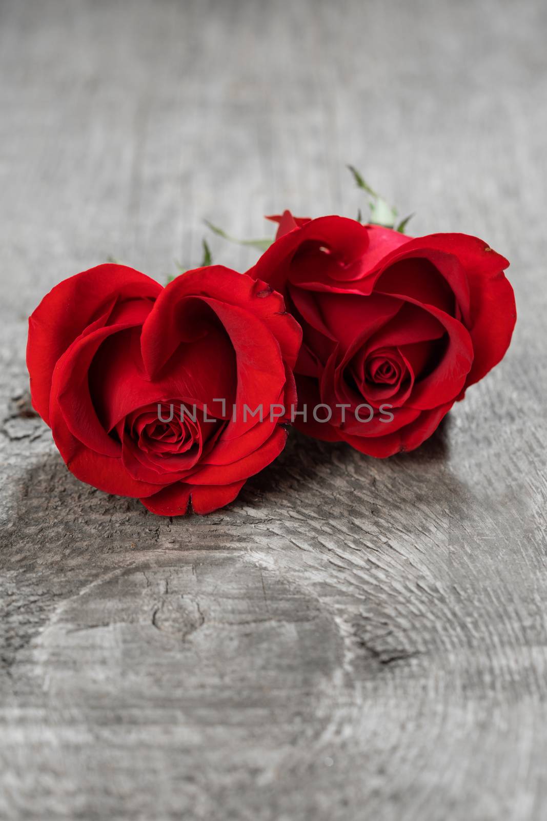 Hearts of red roses on wooden background Valentines day design