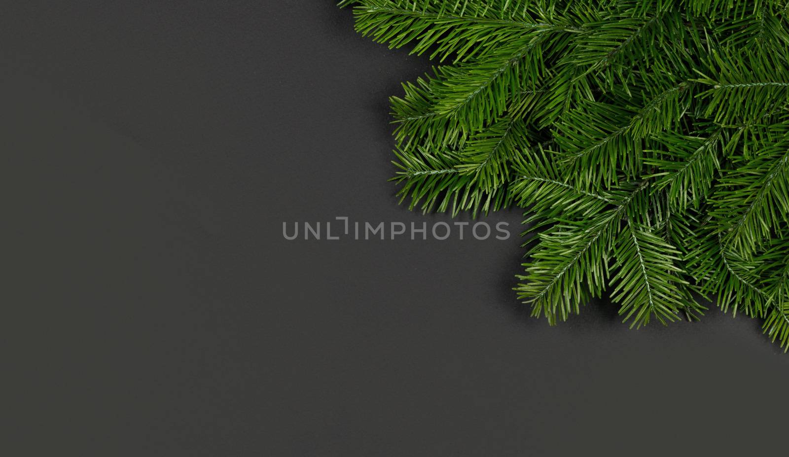 Christmas border arranged with fresh fir branches on black paper background , copy space for text