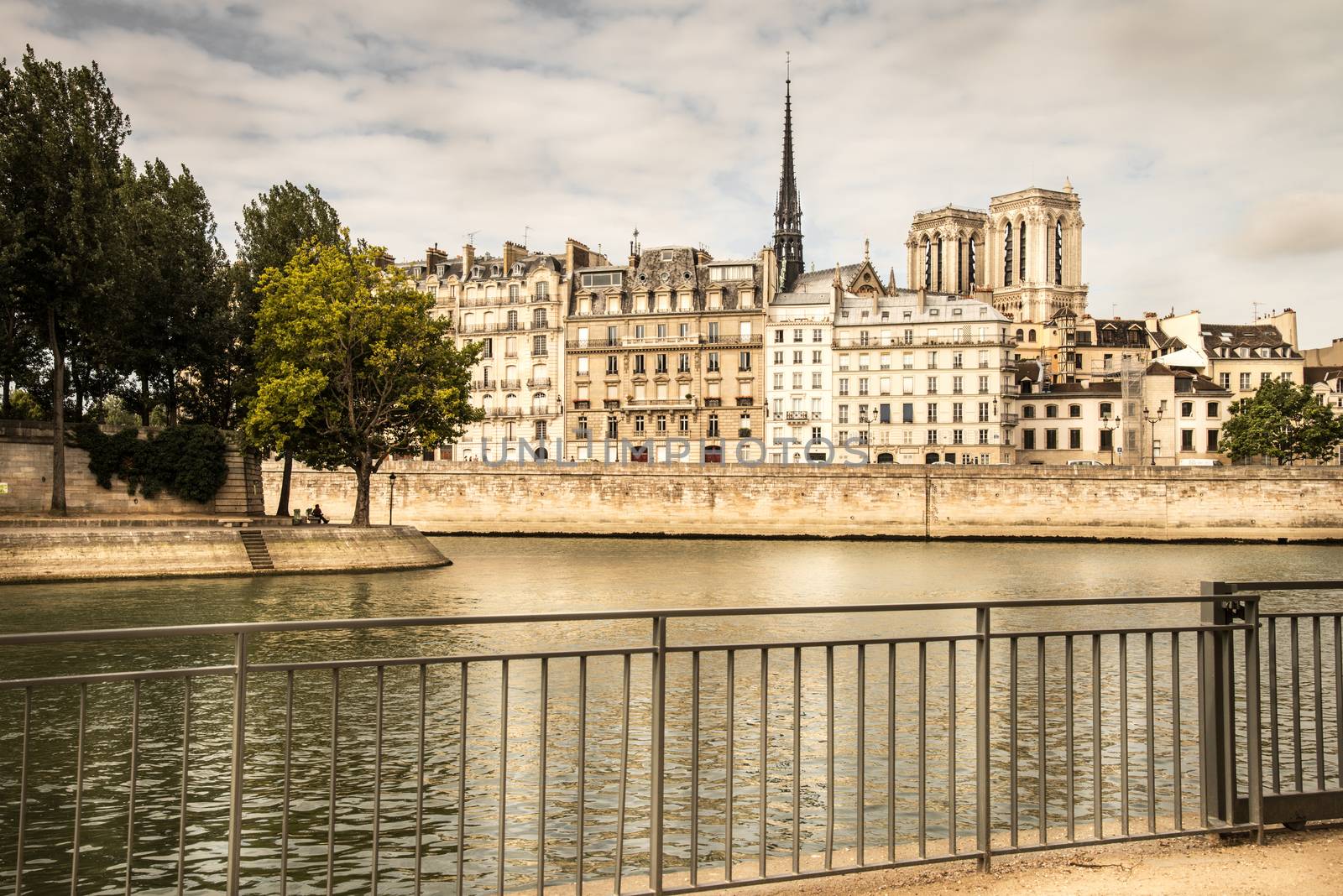 View of the Ile de la Citè from the right bank