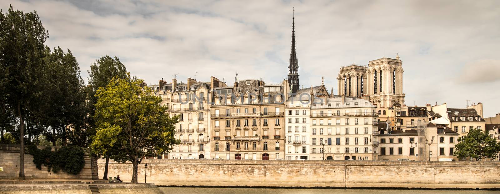 View of the Ile de la Citè from the right bank