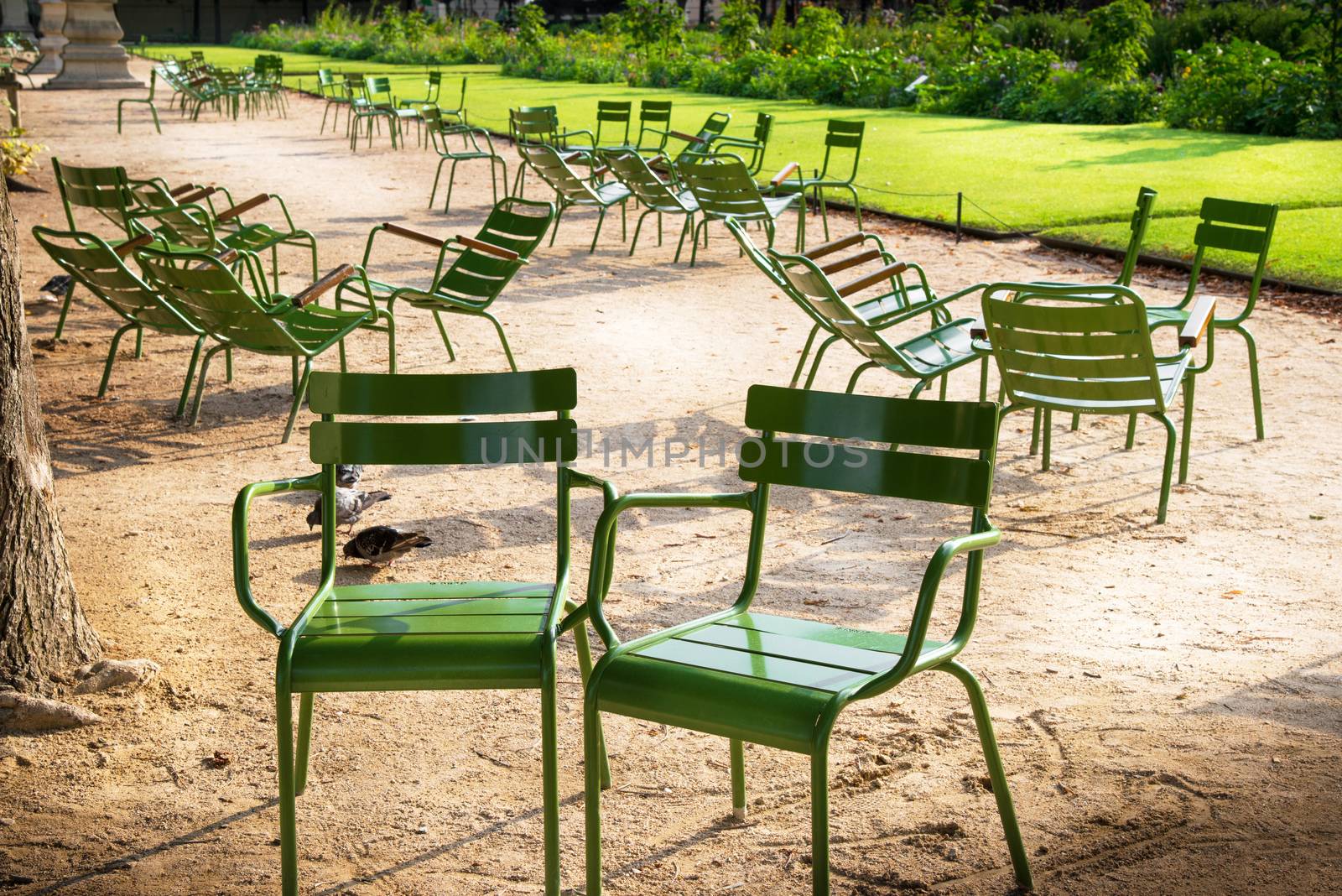 The chairs at the des Tuileries Gardens in Paris
