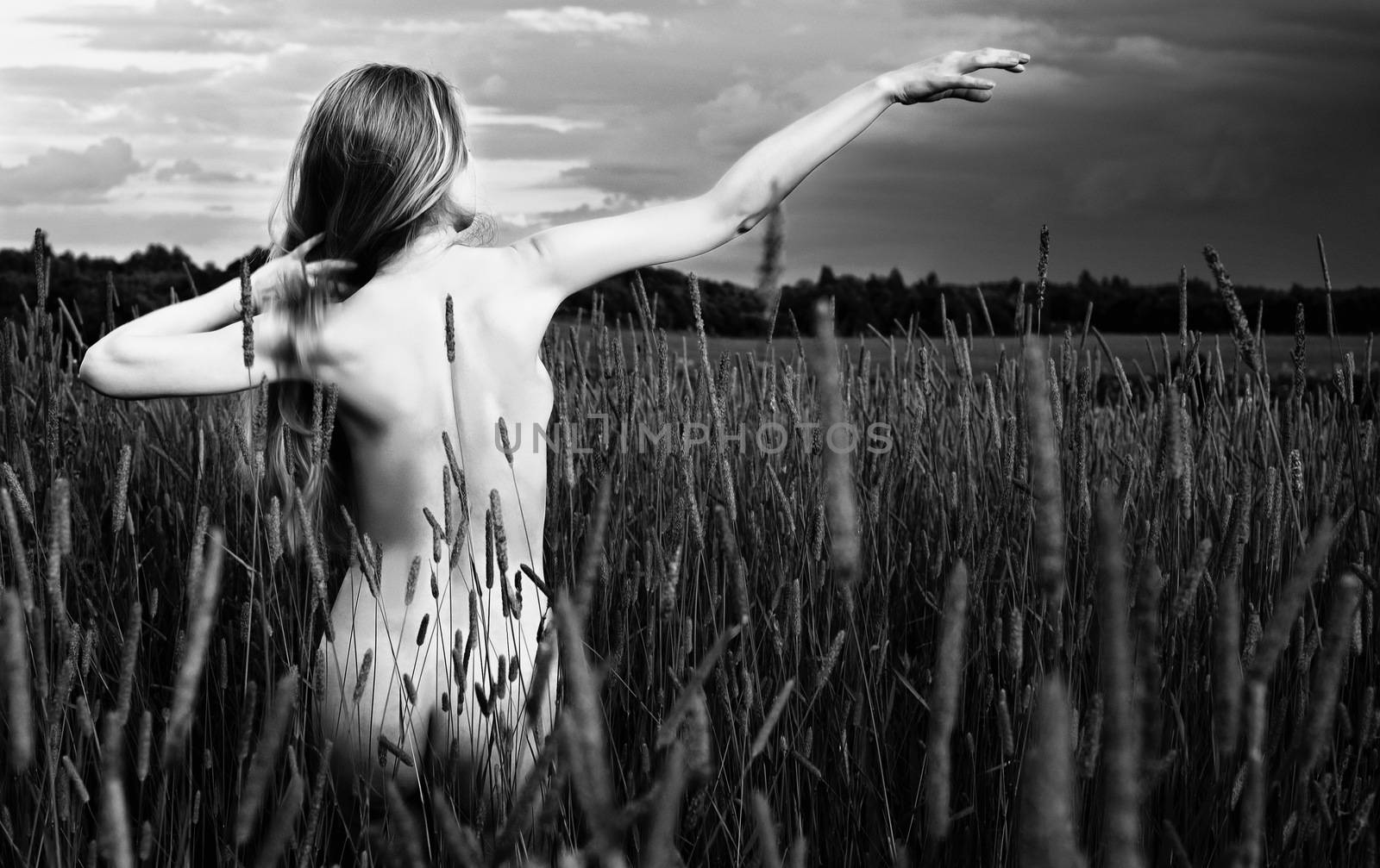 In images The beautiful girl is sitting in the grass