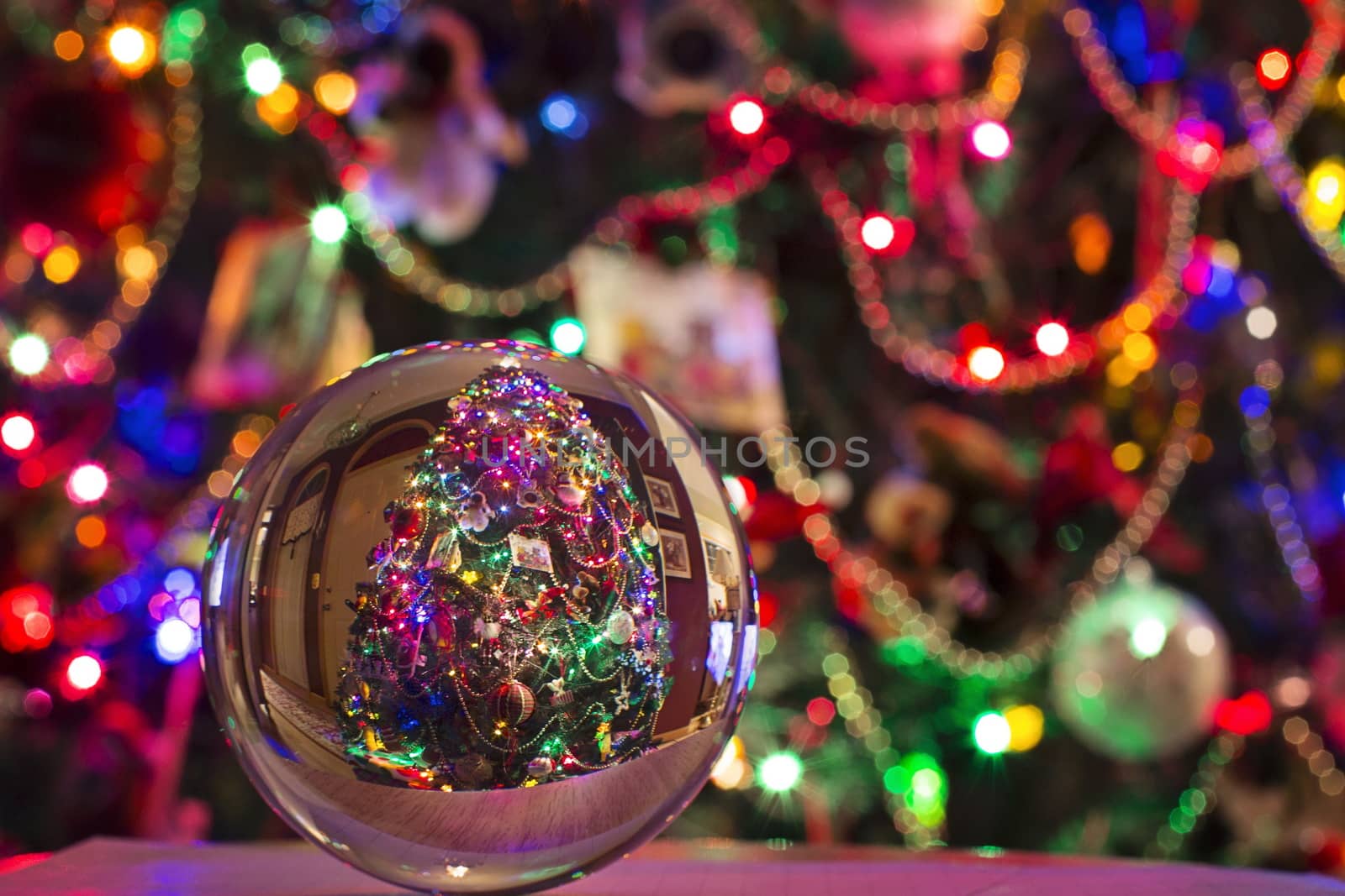 In images Crystal glass christmas ball hang background.