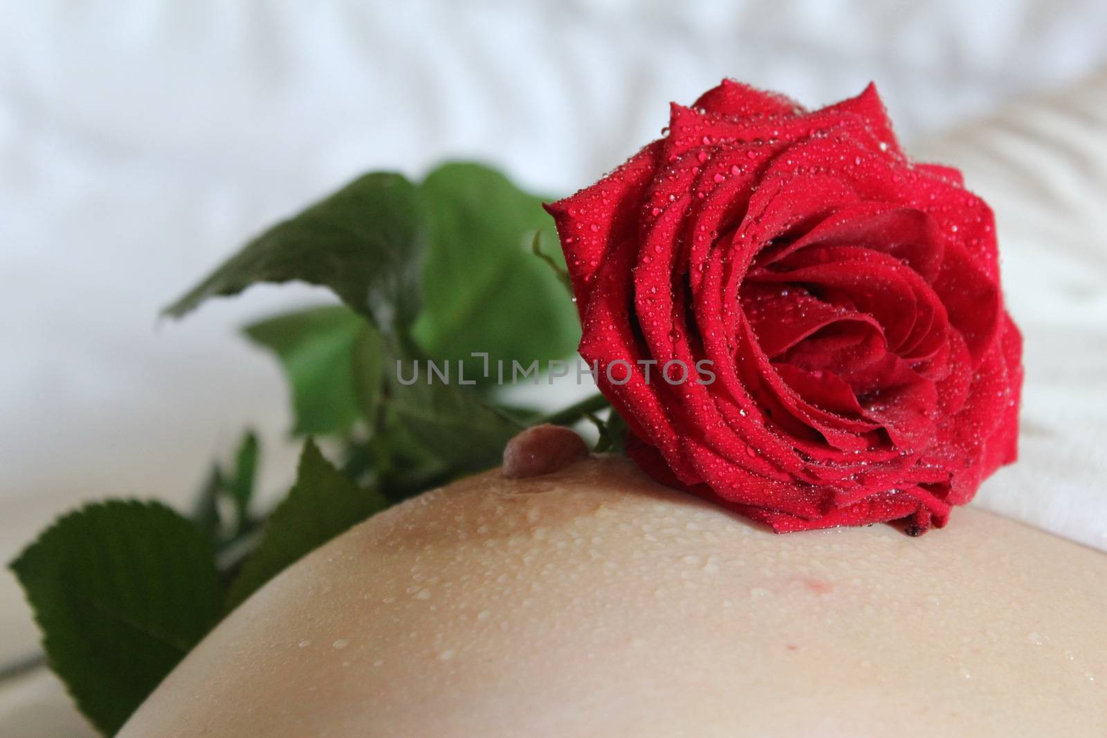 In images Cropped Image of Woman Holding Flowers in Front of Bare Chest