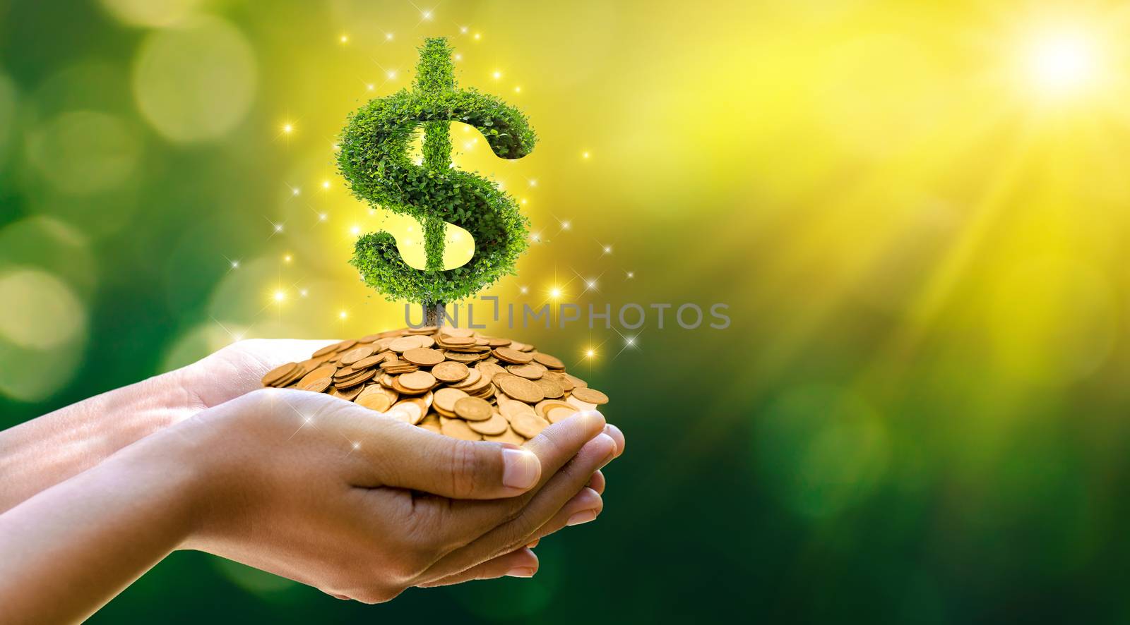 hand Coin tree The tree grows on the pile. Saving money for the future. Investment Ideas and Business Growth. Green background with bokeh sun