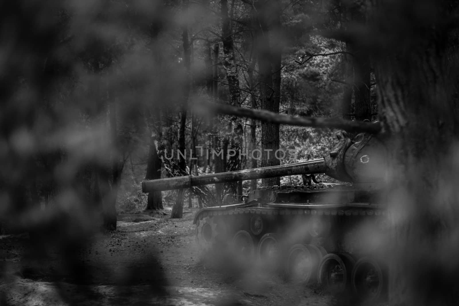 Abandoned vintage tank in the forest