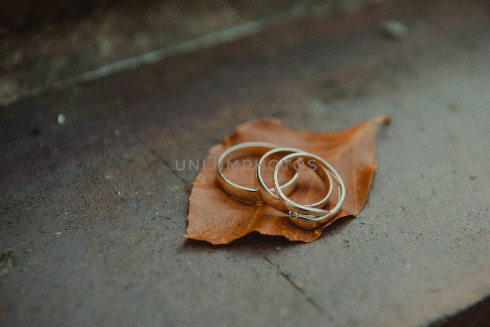 Beautiful two golden wedding rings. Made of highest quality material
