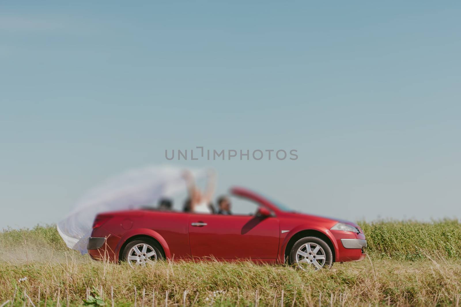 Bride and groom at a photo session in the nature. Moving fast red car with veil outside