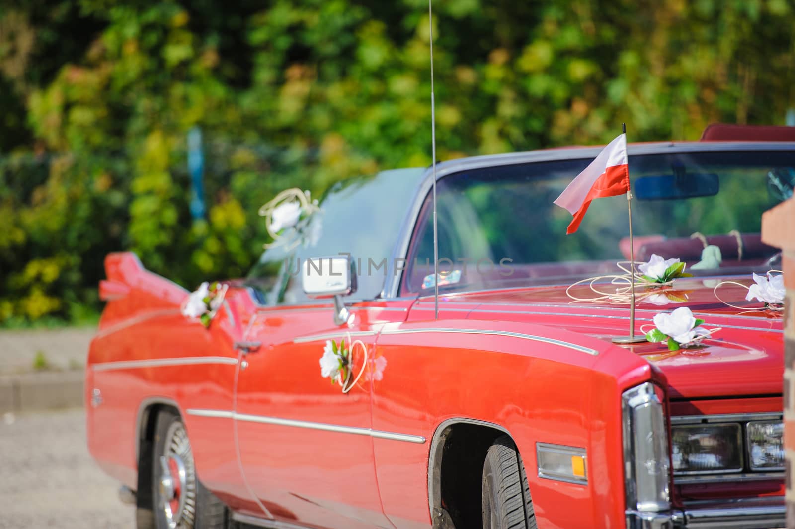 Luxury wedding car decorated with beautiful flowers. Brides and grooms wedding day