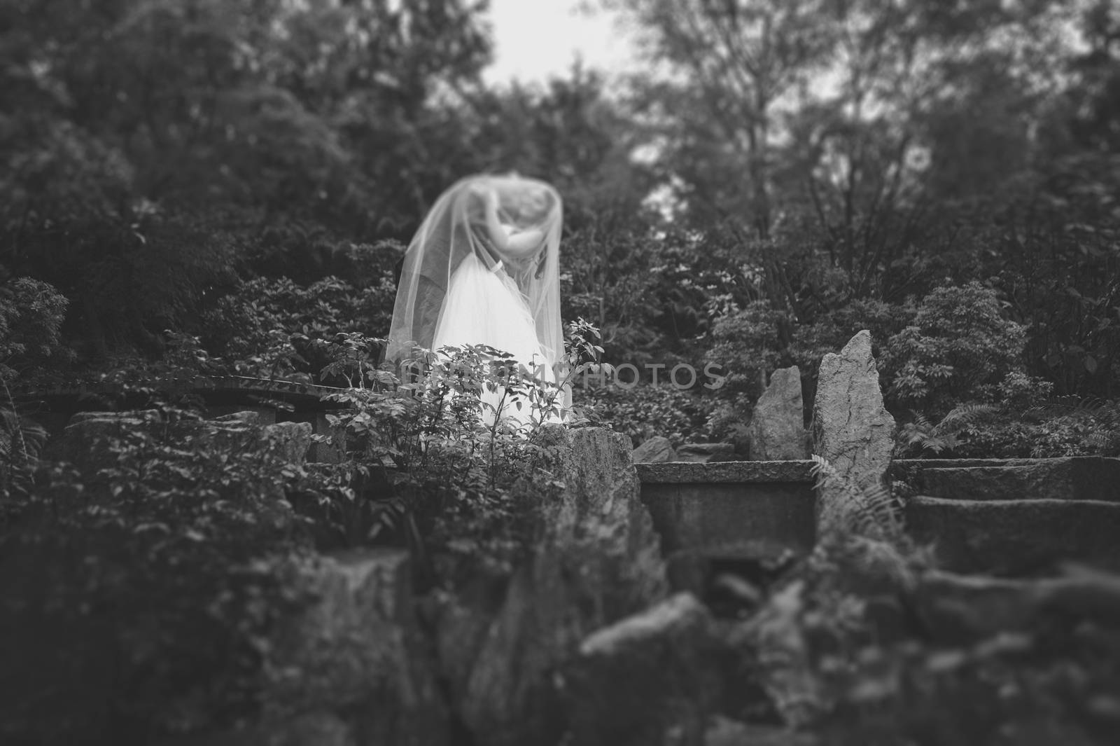 Bride and groom at a photo session in the nature.